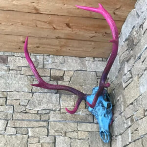 Eine Steinwand mit einem grell eingefärbten Hirschgeweih